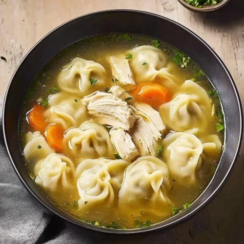 Chicken Noodle Dumpling Soup