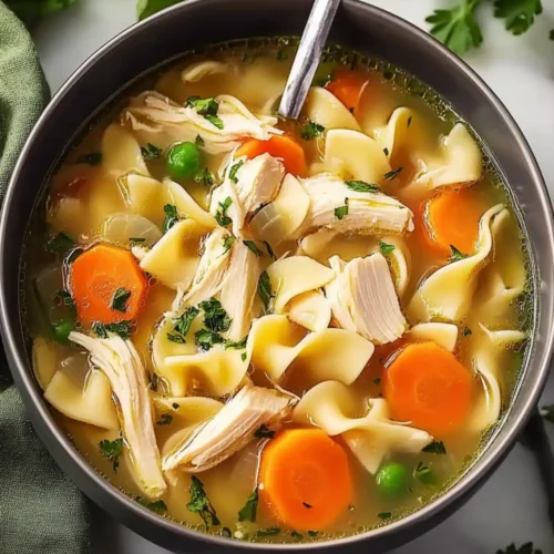 chicken noodle soup